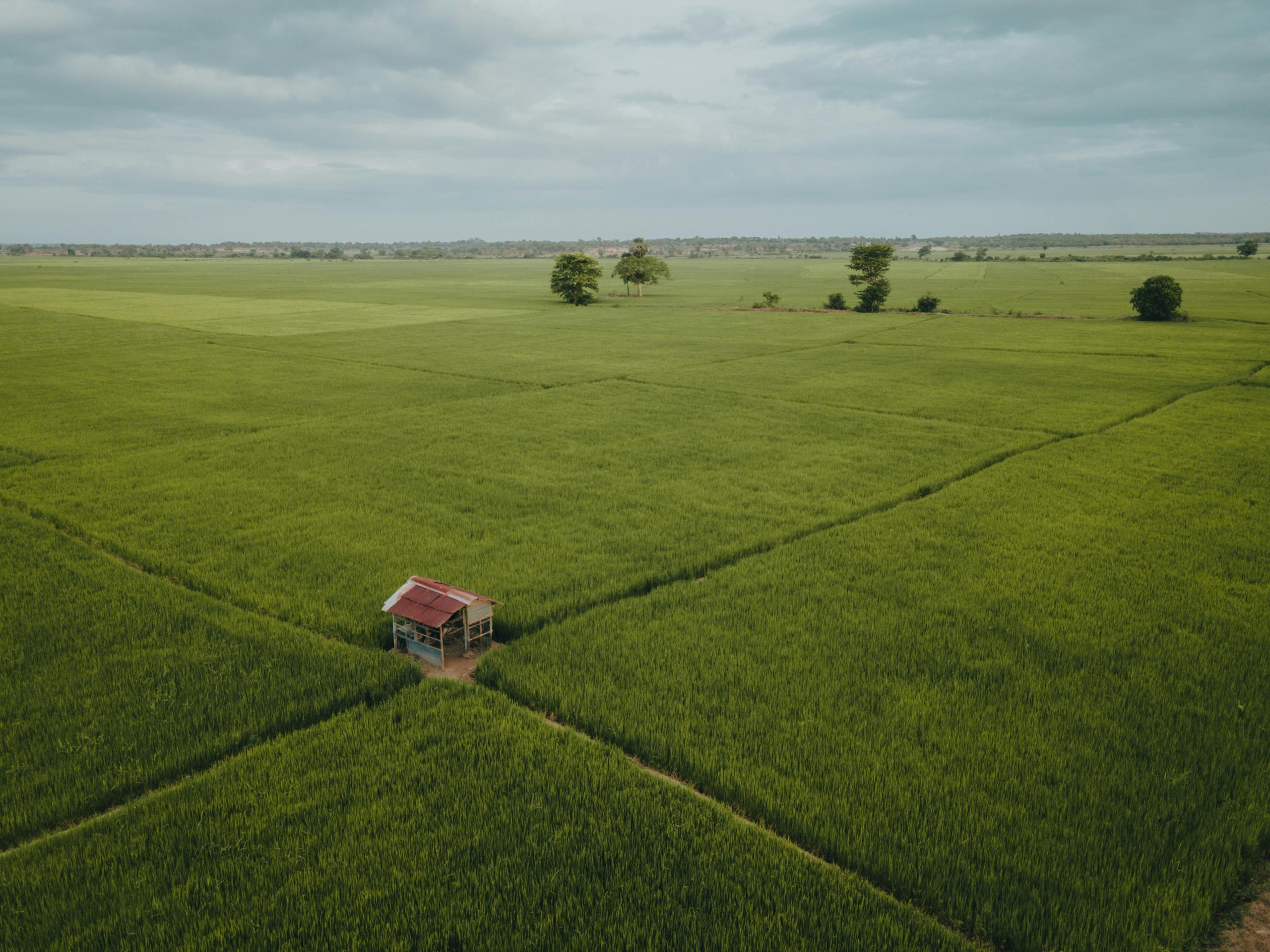 Village to Village Sri Lanka