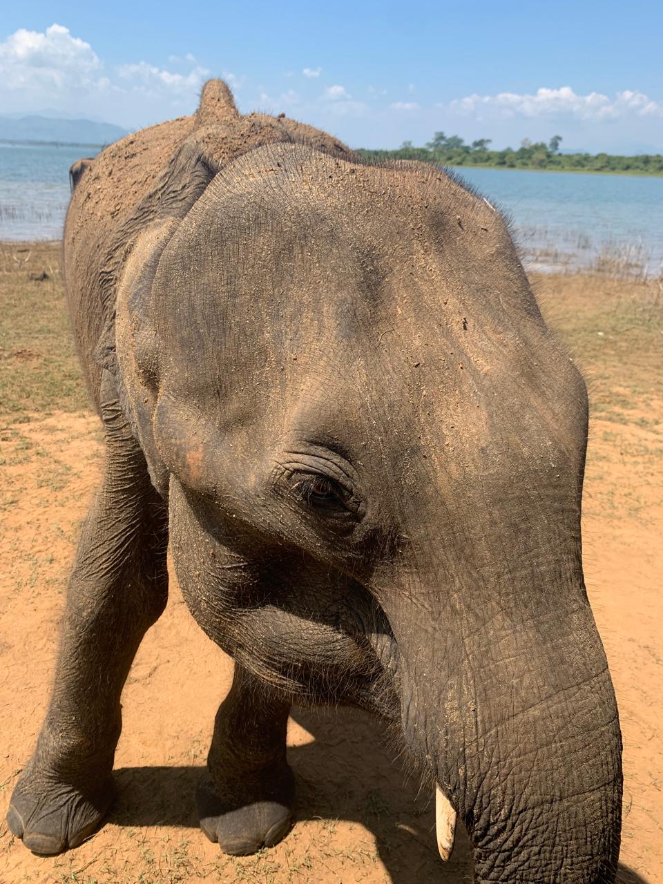 WhatsApp Image 2026-01-08 at 10.26.58