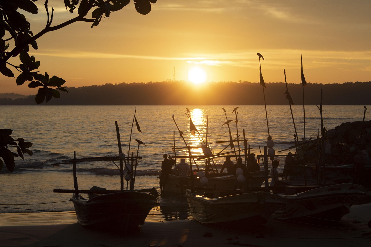 twilight, dawn, sea, galle, fishing, nature, dusk, sun, scenery, brown fishing