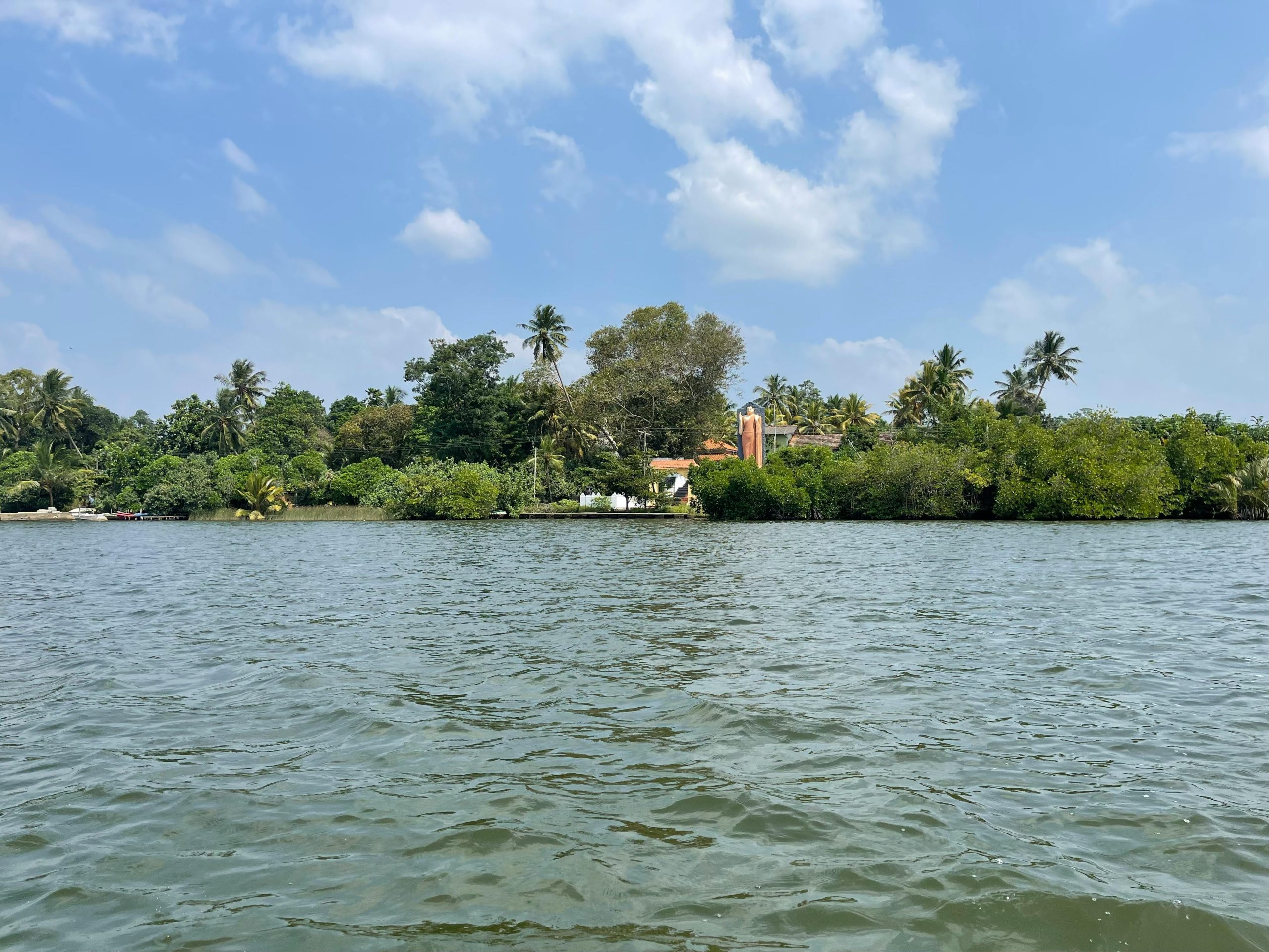 Peaceful river view with lush greenery and palm trees under a bright blue sky.