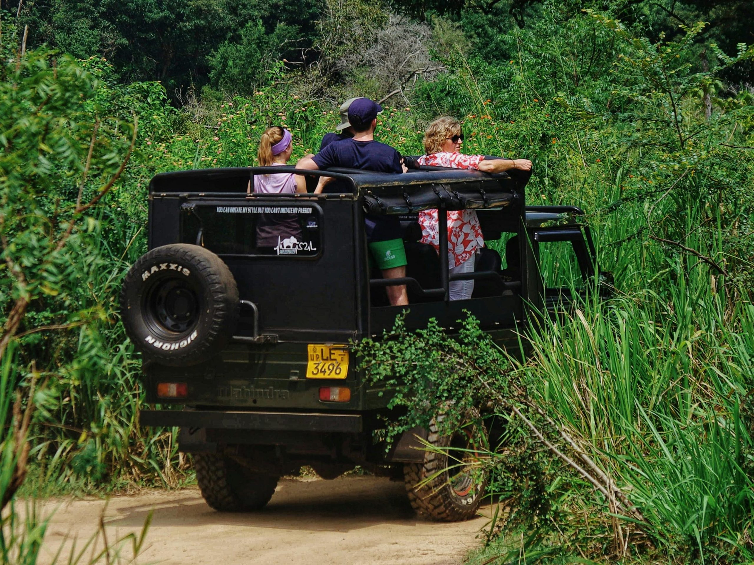 Experience an adventurous safari tour through dense jungle terrain, ideal for nature enthusiasts and explorers.